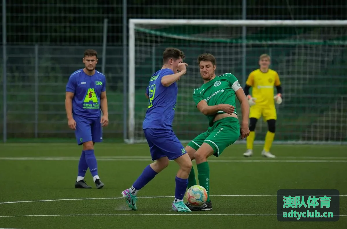 澳队体育青少年体能训练